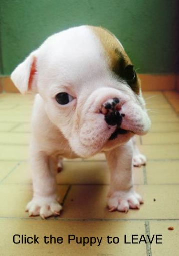 Click the Puppy to Leave Best Gore for Imbecile Entertainment
